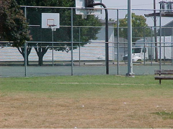 City of California basketball court