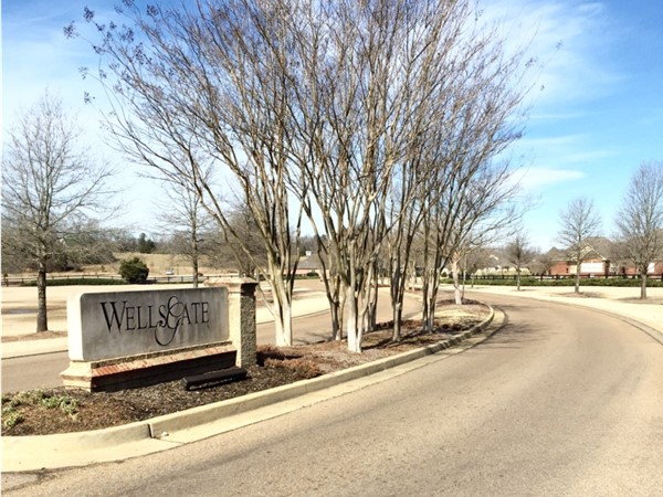 Wellsgate Subdivision entrance. Wellsgate is a popular neighborhood west of Oxford and Ole Miss.