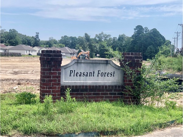 Entrance to Pleasant Forest Subdivision in Benton