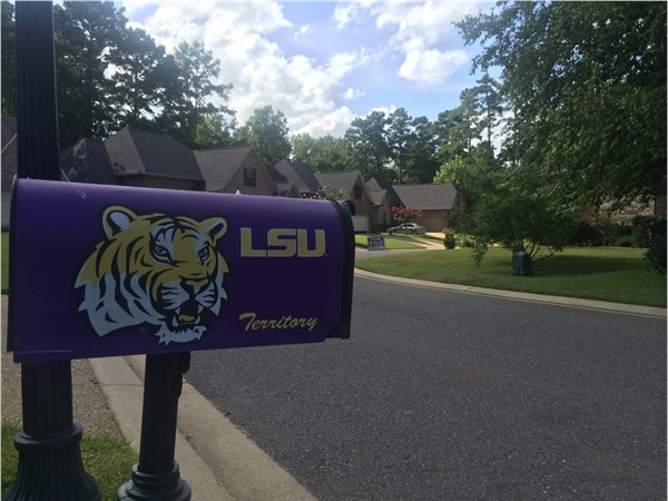 Love LSU, love Spring Lake Subdivision. Sophisticated homes off Line Avenue