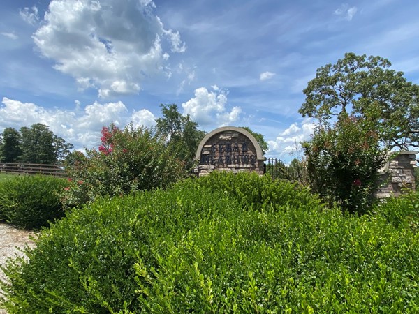 Cedar Meadows subdivision - Branson, MO