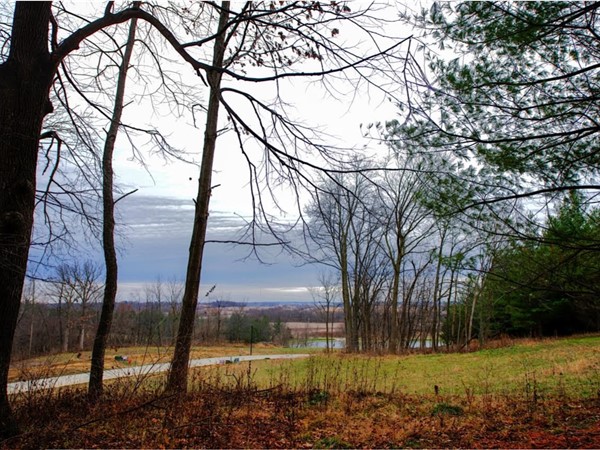 Wooded lots available at Dell Ridge