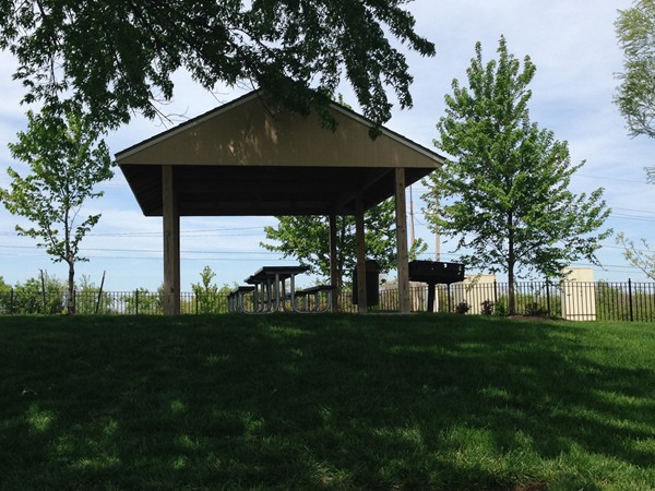 Oaks of North Brook community picnic area
