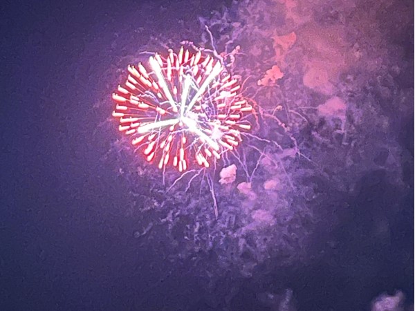 Amazing dinner and July 4th fireworks show from the balcony of Pirates Bar & Grill. 