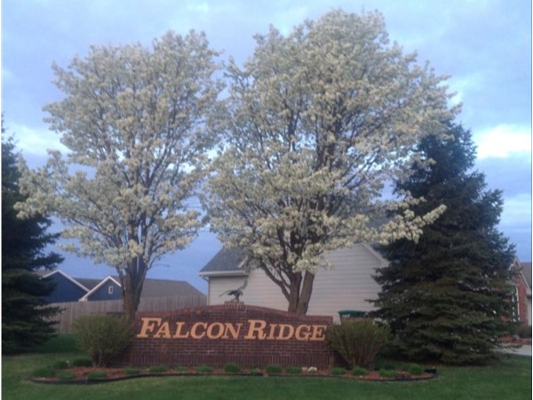 Spring has sprung in beautiful Falcon Ridge