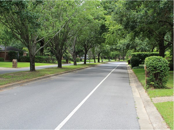 River Oaks offers an established neighborhood with gorgeous landscaping and views of the Bayou 