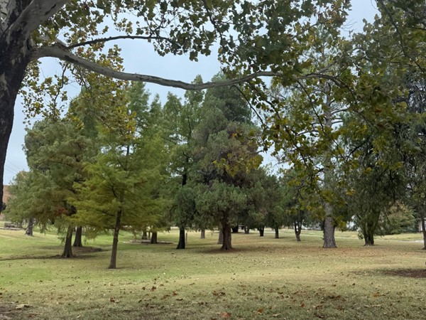 Shannon Springs Park is great for playdates, picnics or photoshoots. Home to the Festival of Lights