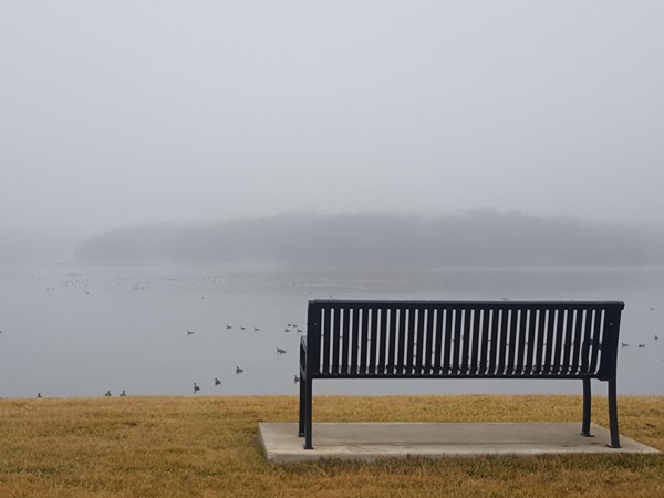Foggy morning on Riss Lake