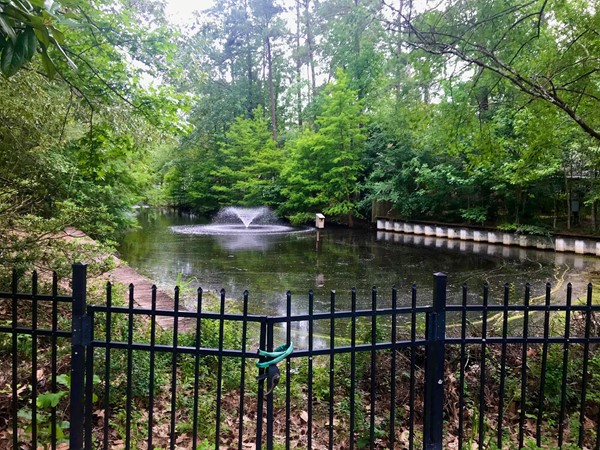 Greenleaves Subdivision has a pond along the walking trail