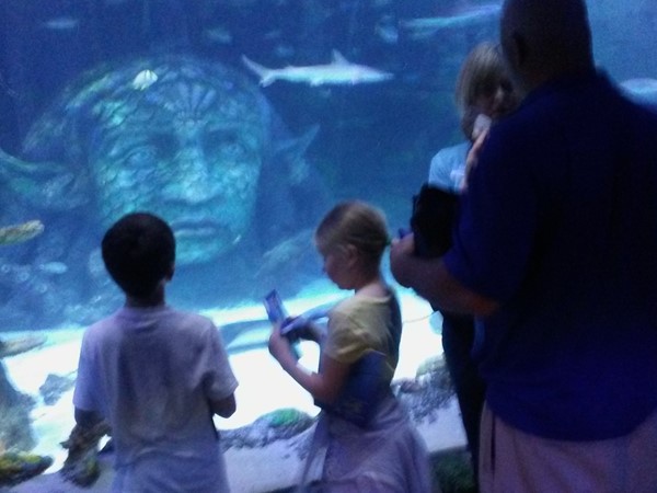 Great family fun at the Sea Life Michigan Aquarium