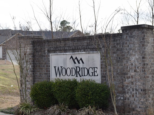 Woodridge Estates is located on David O. Dodd Road with homes priced in the mid $100ks