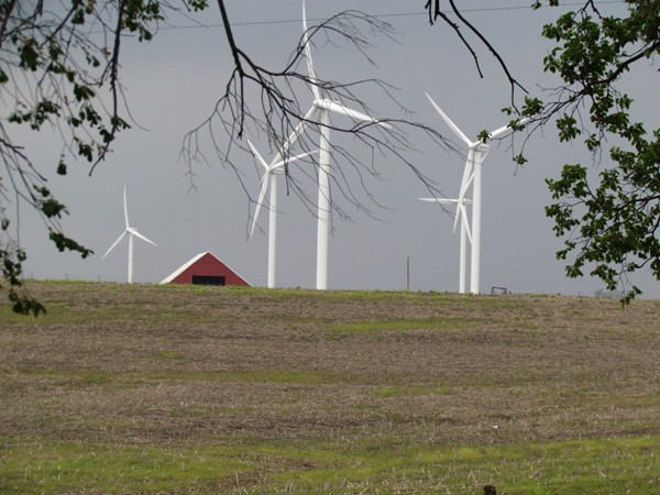 Conception Wind Farm