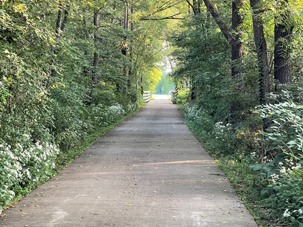 The South Main Trail offers dense covering in inclement weather and shade from the sun