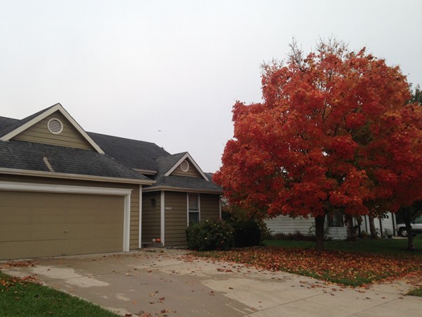Wonderful October colors come out in Prairie Meadows 