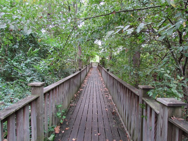 Walking trails at Monticello's Cooper Ferry Park