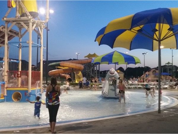 Annual Re/Max pool party at the Falls Aquatic Center
