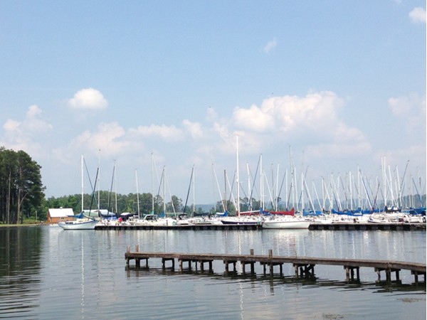 Lake Guntersville Marina