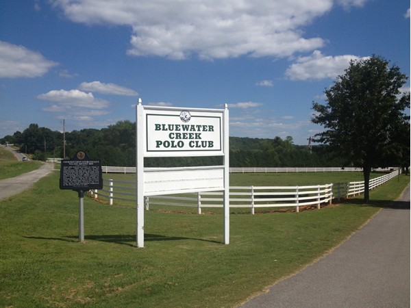 Join us for polo one Sunday afternoon at Bluewater Creek Polo Club