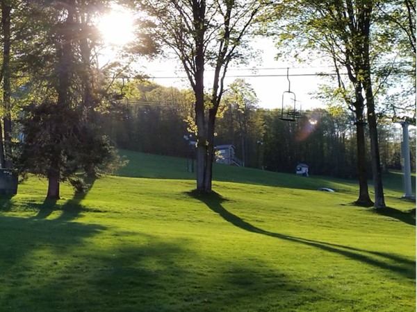 Green as can be in the summertime at Boyne Mountain Resort  
