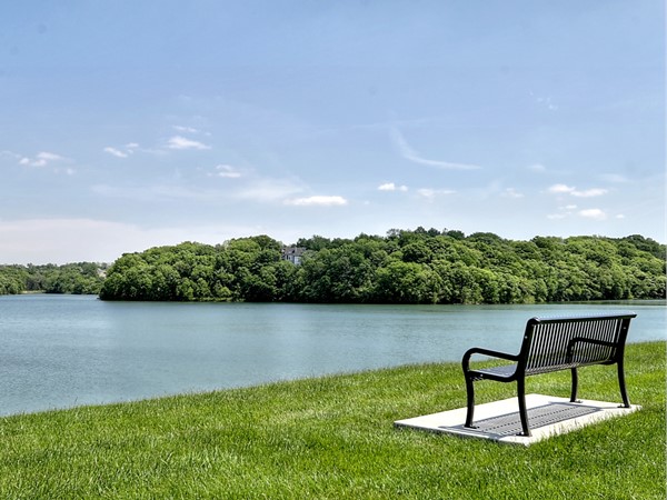 Enjoy peace and quiet with stunning views of Riss Lake