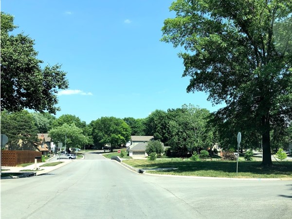 Enjoy this clean, green, and quiet neighborhood of Brittany Meadows
