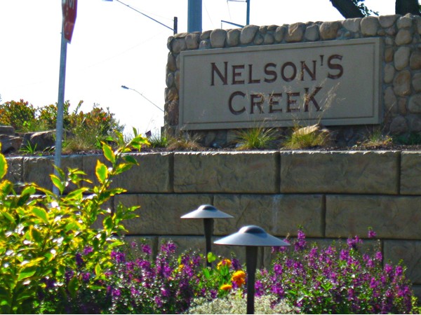 Pretty entrance to Nelson's Creek Subdivision 