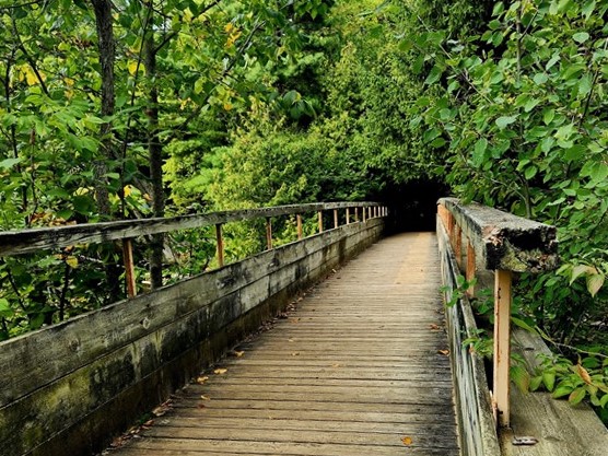 Keystone Rapids Trail in Traverse City: hike along parts of the Boardman River through the woods