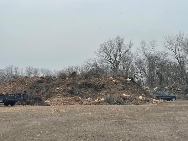 The Cedar Falls free yard waste is still open in December if you have leaves to dispose of