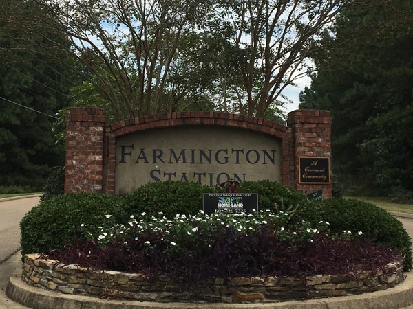 Farmington Station is a wonderful neighborhood in the Flowood/Brandon area