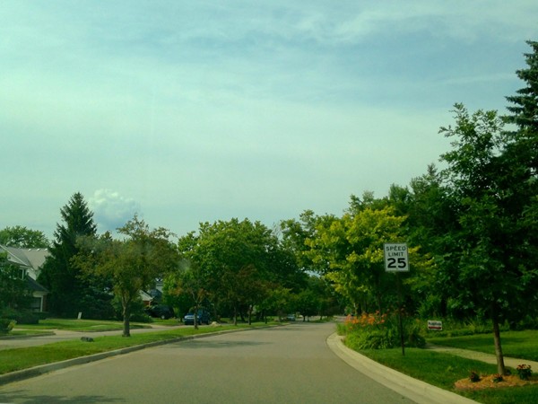 Quiet streets of Orchard Hills