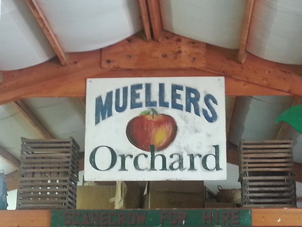 Meuller's Orchard, Linden 