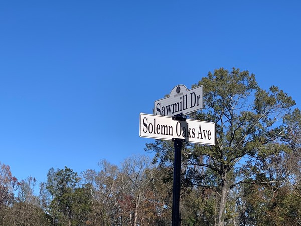 Solemn Oaks Ave. and Sawmill Dr. in Arbor Grove Subdivision 