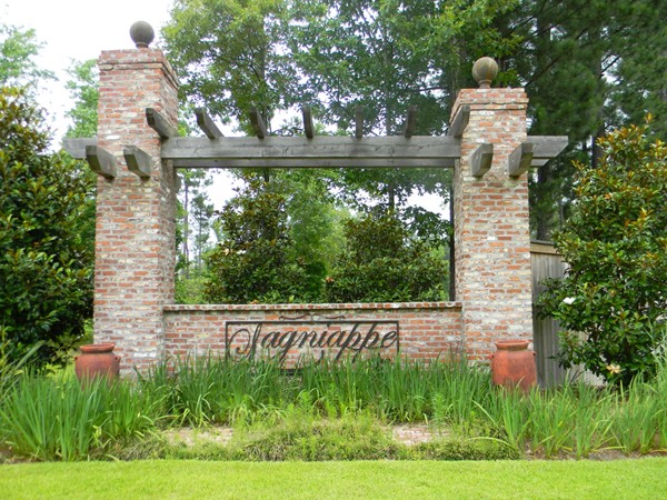 Lagniappe's luxurious homes and large lots make it a hidden treasure 