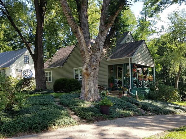 Charming cottages with 15 minute access to downtown in Little Village!  Lovely trees