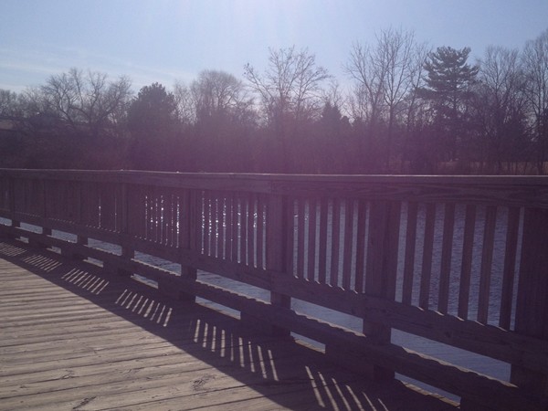 The boardwalk overlooking the Mill Pond in Downtown Brighton