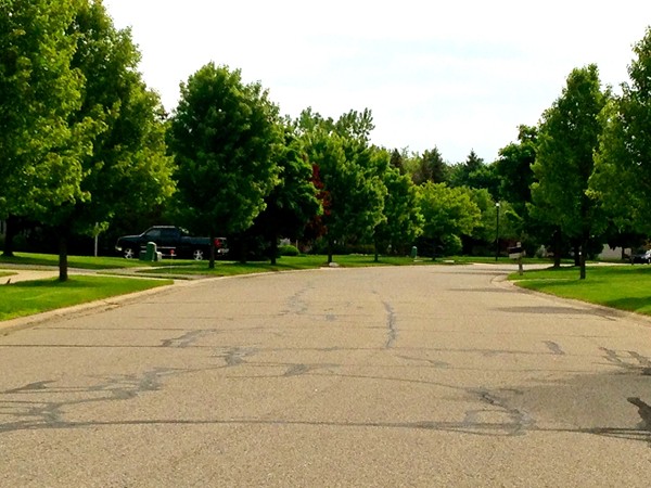 Wide, tree-lined streets create a barrier between cars and pedestrians