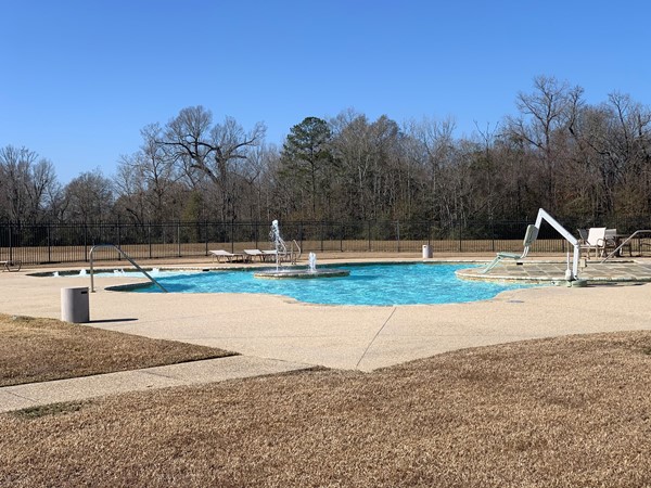 Enjoy summer nights with friends around the community pool in Long Farm Village in Baton Rouge