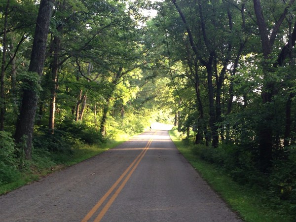 Pea Ridge National Military Park has an amazing trail that you can enjoy while biking or running 