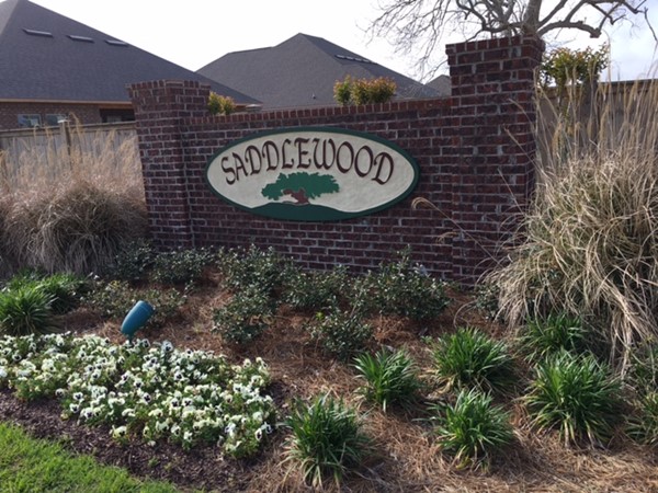 Saddlewood Subdivision in Fairhope 