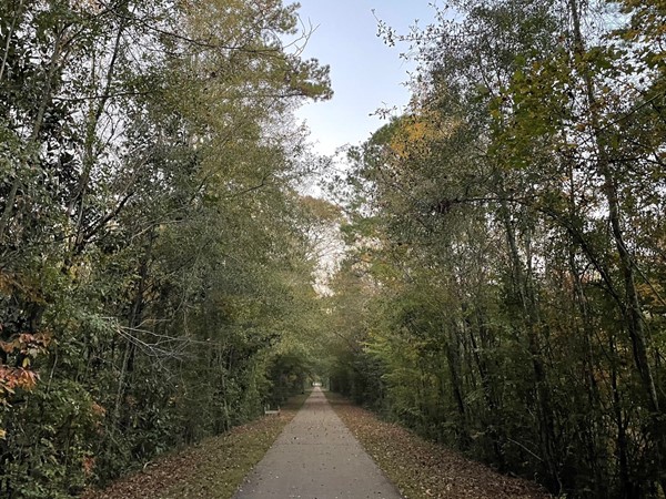 A very nice trail to walk or bike through going all throughout the city of Hattiesburg 