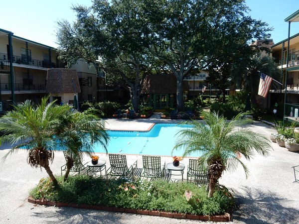 Beautifully landscaped grounds and pool area 