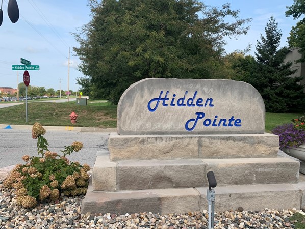 Hidden Pointe is in close proximity to the elementary and middle school