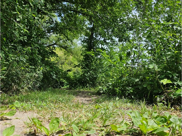 Low trails and leafy shade. This quiet path at Chase Lake feels like your own secret getaway