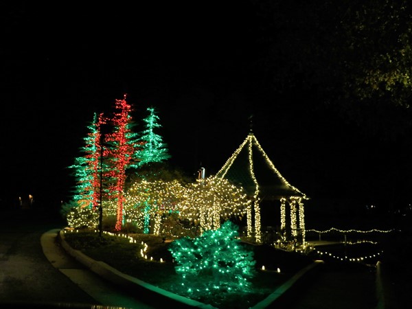 Rivendell on the lake is open all holiday season to enjoy the festive lights on display 