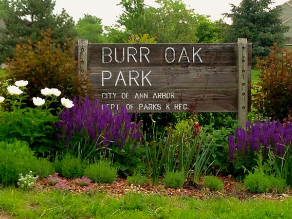 Quaint, public park within Liberty Glen