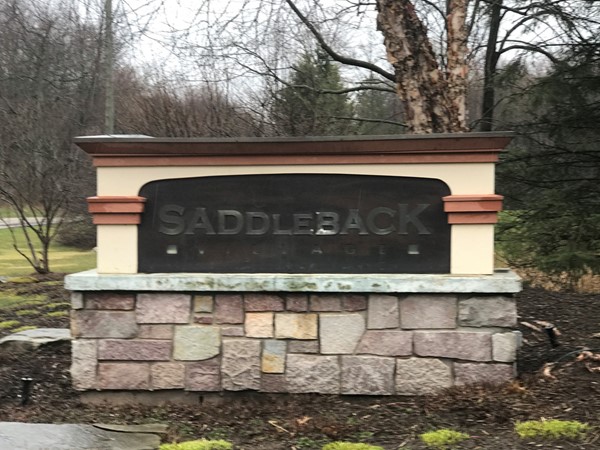 Welcome to Saddleback Village