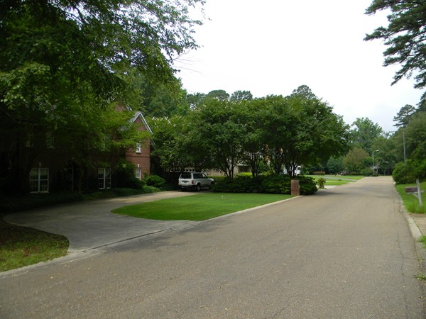 Foxxwood Drive is centrally located and provides easy access to Cedar Creek School