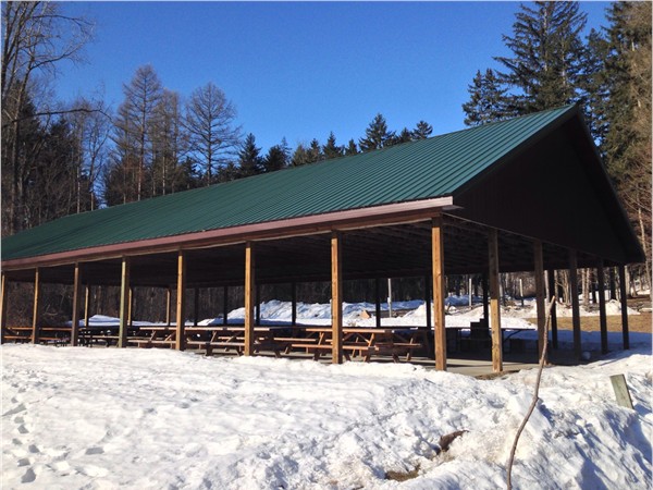 Lots of space to have a great picnic at the Kellogg Forest...once the snow melts