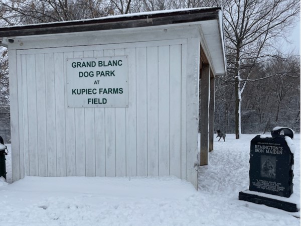 Dog Park at Bicentennial Park is great for exercising your fur babies year round