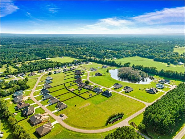 Stunning aerial view of Acadian Square Subdivision in the states highest ranked school district